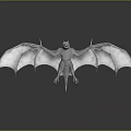 Gray Bat 3D Model With Large Wings In Standing Pose On Reflective Background 3d model