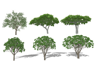 Modern Tree Landscape Tree 3d model