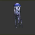 Graceful Blue Jellyfish With Transparent Long Tentacles Floating In Dark Background 3d model