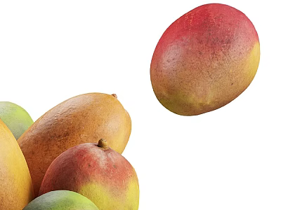Fresh Ripe Mangoes In Red Yellow And Green Colors As Organic Tropical Fruits 3d model