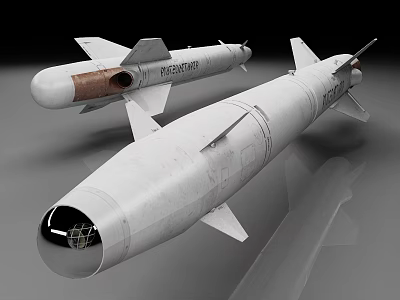 Two Military Missiles With White Bodies And Fins On Reflective Surface 3d model