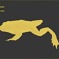 Frog Poison Frog Game Frog Reptile Cold Blooded Animal Reptile 3d model