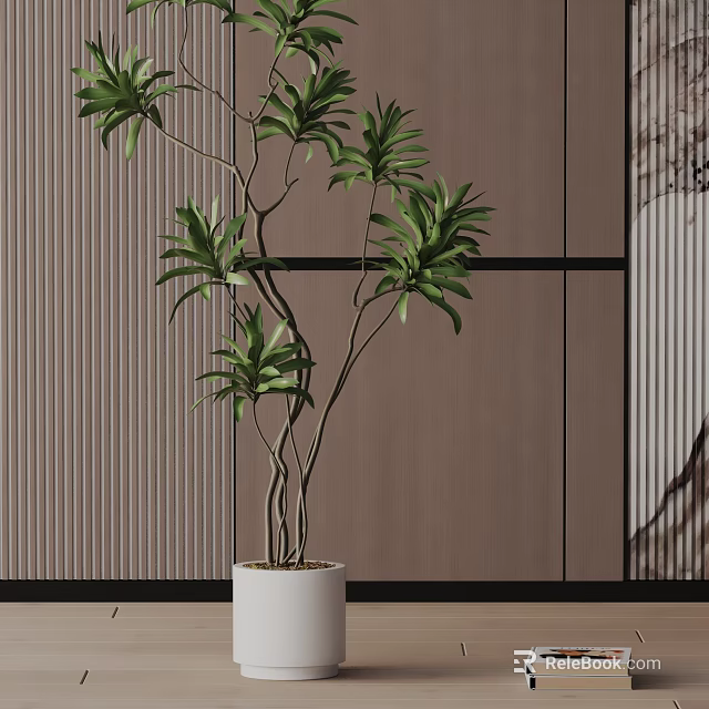 Potted Bonsai With Slender Branches And Lush Green Leaves In White Ceramic Pot 3d model 