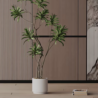 Modern Potted Plant 3d model
