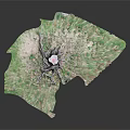 Leaf Shaped Green Object With Textured Root Like Structure And Central White Element