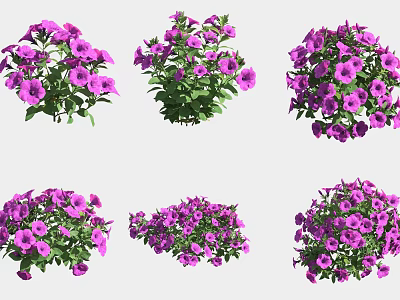 Vibrant Purple Flower Bouquets in Various Arrangements for Garden Decor 3d model