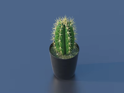 Green Spiky Cactus Potted Plant in Black Minimalist Pot for Interior Decor 3d model