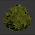 Green Leafy Plant Sphere With Fresh Round Decorative Foliage Design