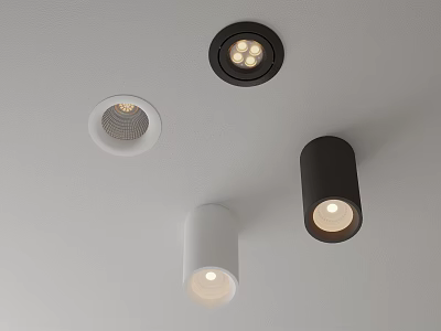 Modern Recessed Downlights And Cylindrical Spotlights In White Black On Ceiling 3d model
