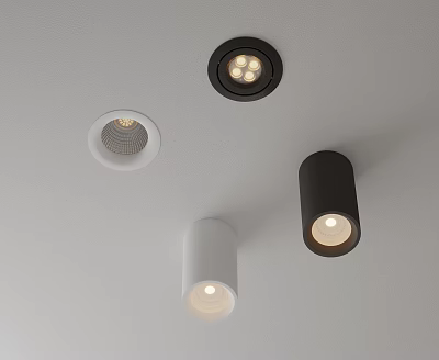 Modern Recessed Downlights And Cylindrical Spotlights In White Black On Ceiling 3d model