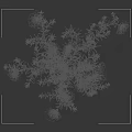 Beautiful Blooming White Flowers with Lush Green Foliage Against Black Background