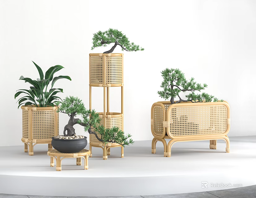 Bonsai Plants with Bamboo Stands and Rattan Planters in Different Heights for Indoor Decorative Use 3d model 