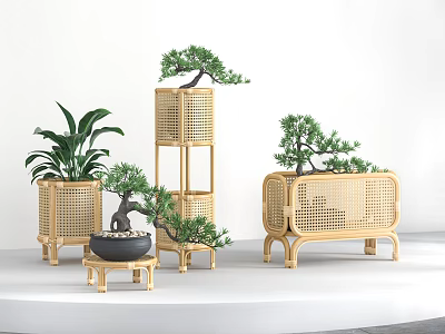 Bonsai Plants with Bamboo Stands and Rattan Planters in Different Heights for Indoor Decorative Use 3d model