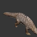 Realistic Pangolin 3D Model With Detailed Scaled Body And Armor Texture 3d model