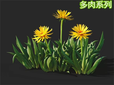 Vibrant Succulent Plants Featuring Yellow Flowers And Green Leaves 3d model