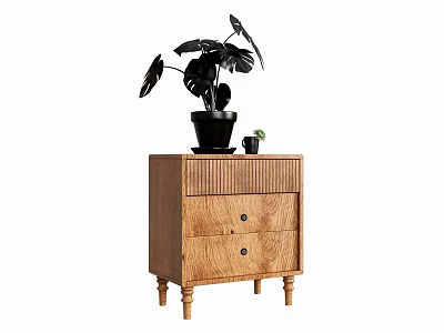 Wooden Entryway Cabinet Sideboard With Drawers And Decorative Plants On Top 3d model
