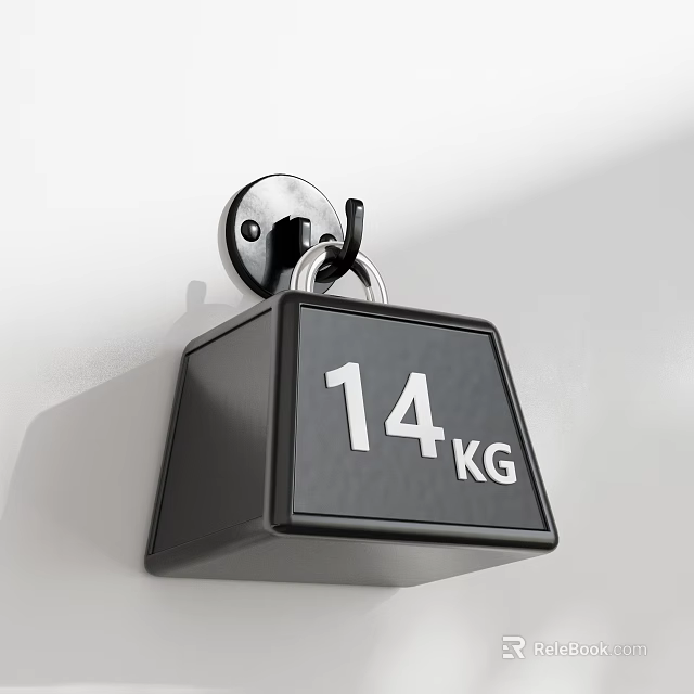 Sports Equipment 14 KG Black Weight Plate Mounted on Wall Hook 3d model 