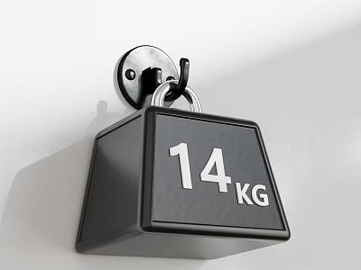 Sports Equipment 14 KG Black Weight Plate Mounted on Wall Hook 3d model