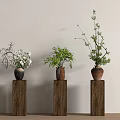 Decorative Vase Flowers With Various Plants On Wooden Pedestals Against Light Colored Wall