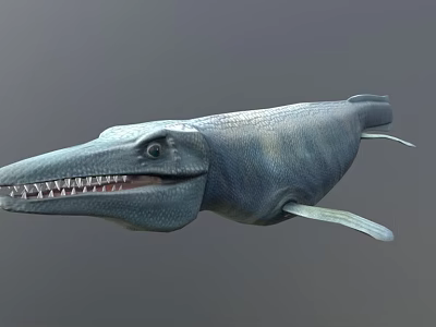 Prehistoric Marine Reptile 3D Model With Long Snout And Sharp Teeth 3d model