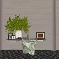Elegant Console Table With Green Foliage Vase Photo Frames And Marble Pedestal