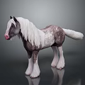 3D Rendered Standing Horse With Long White Mane Gray White Body And White Hooves