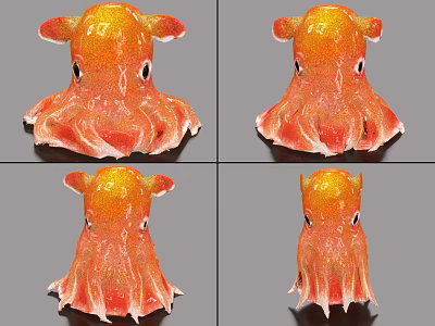 Orange Squid Aquatic Animal Shown In Various Angles With Detailed Close Up Views 3d model