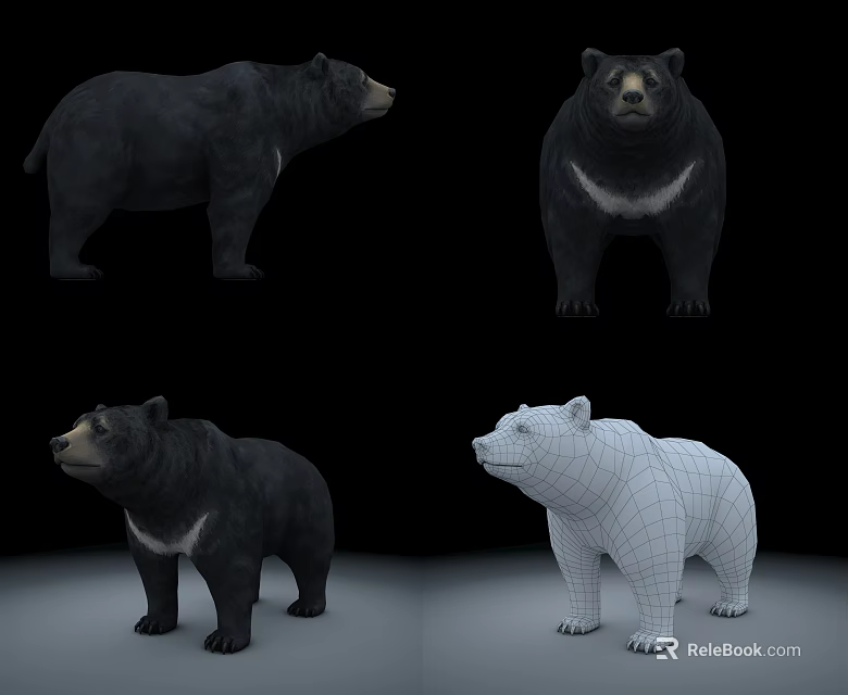 Realistic Reptile 3D Models Featuring Multiple Angles And Wireframe Designs 3d model