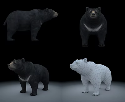 The Modern Bear 3d model The Modern Bear 3d model