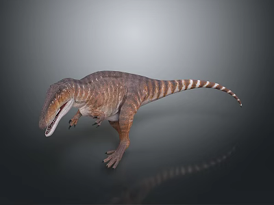 3D Carnivorous Dinosaur Model With Striped Skin And Standing Pose On Gray Background 3d model