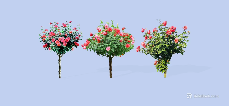 Beautiful Flowering Trees With Red And Pink Blossoms Slender Trunks On Light Blue Background 3d model 