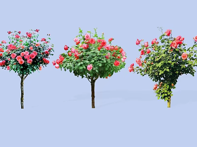 Beautiful Flowering Trees With Red And Pink Blossoms Slender Trunks On Light Blue Background 3d model