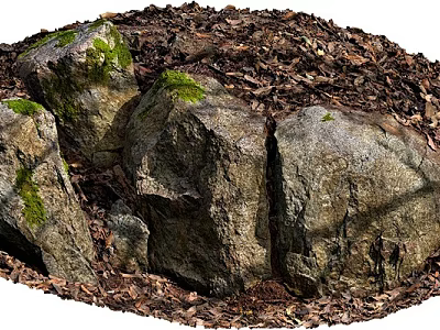 Natural Stone And Wood Landscape With Moss Covered Rocks And Wood Chips 3d model