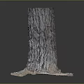 Tree Stump With Rough Bark Texture On Square Base And Surrounding Soil Debris 3d model