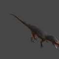 Realistic 3D Dinosaur Model With Horned Head Open Mouth And Detailed Skin Texture