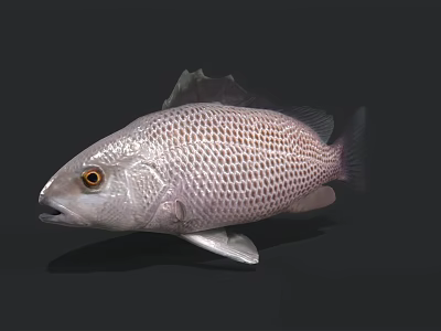 Silver Aquatic Fish Featuring Reticulated Scales And Yellow Eyes Against Dark Background 3d model