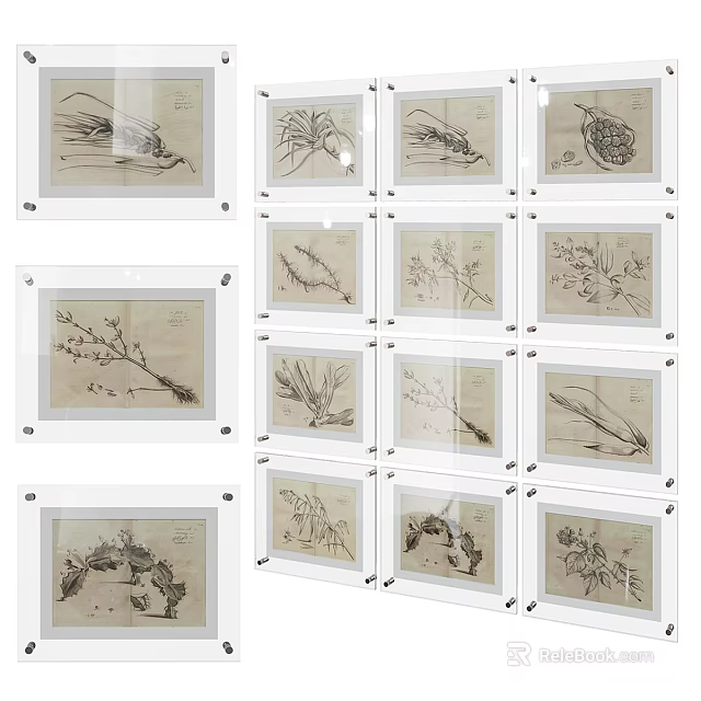 Multiple Clear Acrylic Photo Frames With Plant Sketches For Wall 3d model 