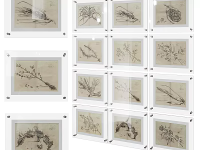 Multiple Clear Acrylic Photo Frames With Plant Sketches For Wall 3d model