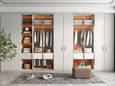 Modern wardrobe model