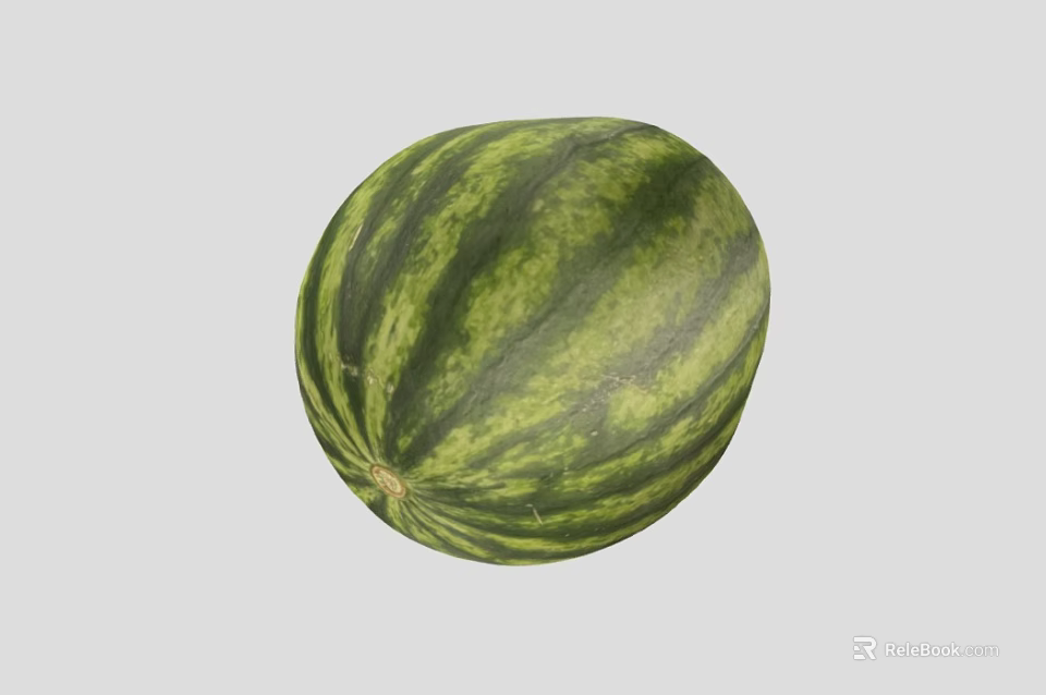 Fresh Round Watermelon With Green Striped Rind And Juicy Red Flesh 3d model 