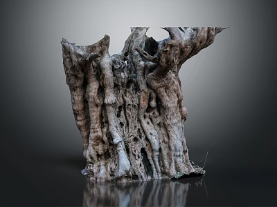 Natural Weathered Tree Stump With Rough Wooden Texture And Natural Shape On Dark Background 3d model