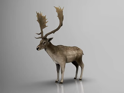 Majestic Horned Reptile Standing On Shiny Floor Against Gray Background 3d model