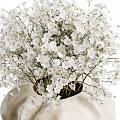 Elegant Decorative Ornament Set With White Bouquet Succulent Plant Aromatherapy Candles And Open Magazine