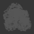 Tall Tree with Lush Green Leaves and Thick Trunk Near Walking Person Silhouette