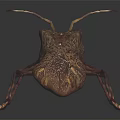 Modern beetle edge chaub beetle 3d model