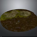Small Animal Sitting On Brown Muddy Ground With Green Mossy Patches