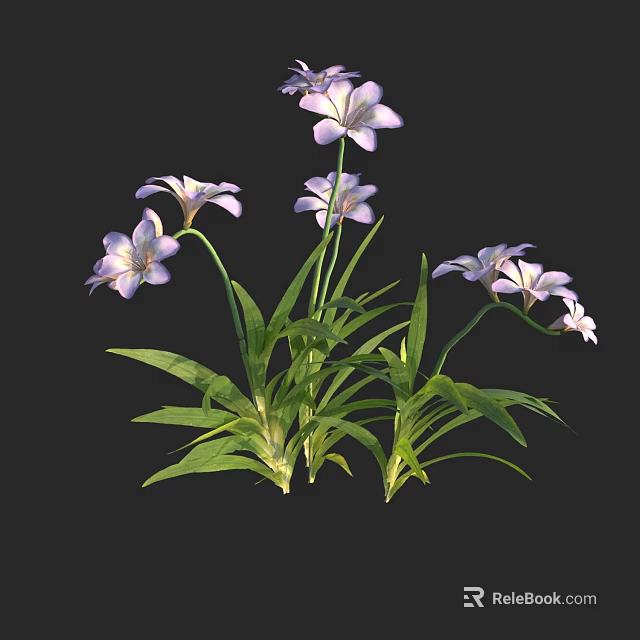 Blooming Purple And White Flowers With Fresh Green Leaves In Garden 3d model 