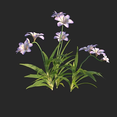Blooming Purple And White Flowers With Fresh Green Leaves In Garden 3d model