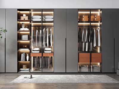 Modern Open Wardrobe Interior Design With Hanging Rods Shelves And Storage Drawers 3d model