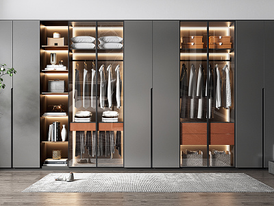 Modern wardrobe model